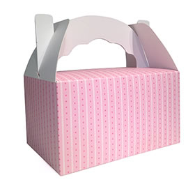 40% OFF -  Snack Box - Pink stripe