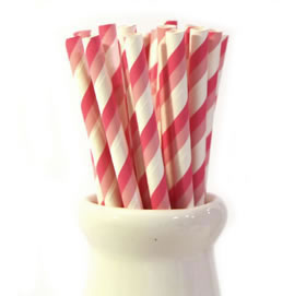 Paper Straws - Duo pink stripe